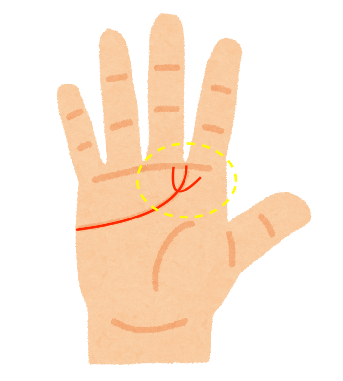 手相占い 恋愛運最強 モテる人にある手相５選