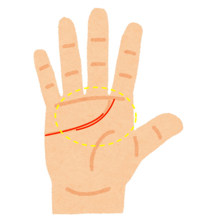 手相占い 恋愛運最強 モテる人にある手相５選