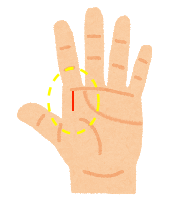 手相占い 人差し指下に現れるすごい手相５選