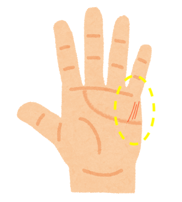 手相占い もっと知りたい 財運線について