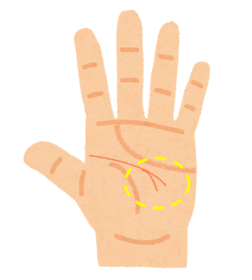 手相占い 枝分かれしている頭脳線 知能線 の意味とは