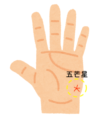 手相占い 面白いネーミングの手相12選